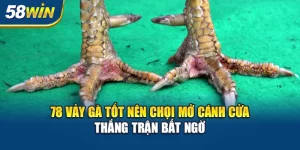 78-vay-ga-tot-nen-choi
