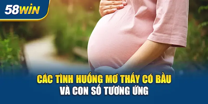 cac-tinh-huong-mo-thay-co-bau-va-con-so-tuong-ung