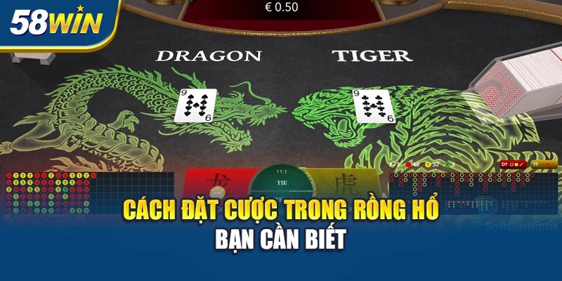 cach-dat-cuoc-trong-rong-ho-ban-can-biet