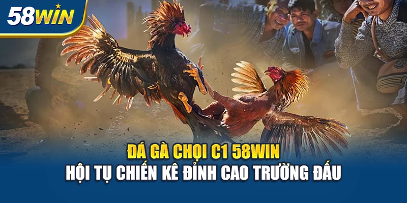 da-ga-choi-c1