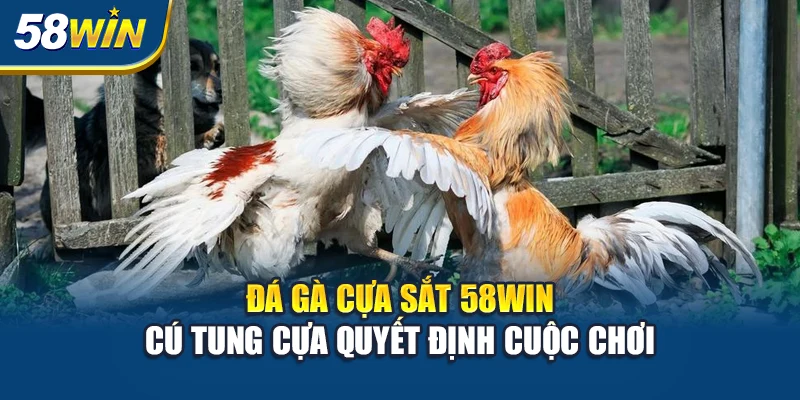 da-ga-cua-sat