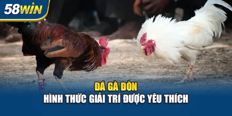da-ga-don-hinh-thuc-giai-tri-duoc-yeu-thich