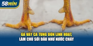 ga-vay-ca