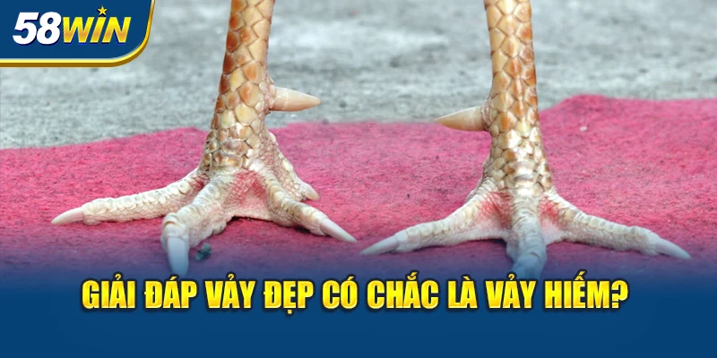 giai-dap-vay-dep-co-chac-la-vay-hiem-