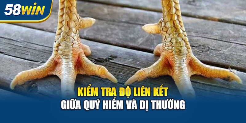 kiem-tra-do-lien-ket-giua-quy-hiem-va-di-thuong