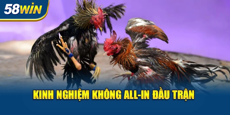 kinh-nghiem-khong-all-in-dau-tran