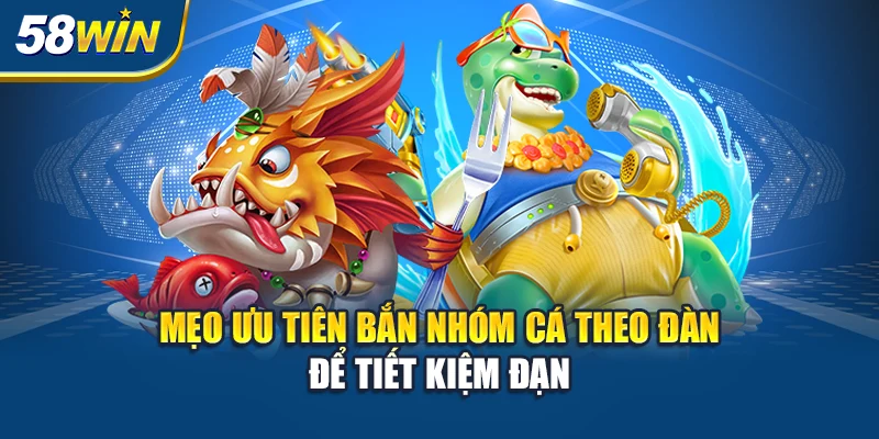 meo-uu-tien-ban-nhom-ca-theo-dan-de-tiet-kiem-dan