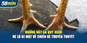 nhung-vay-ga-quy-hiem
