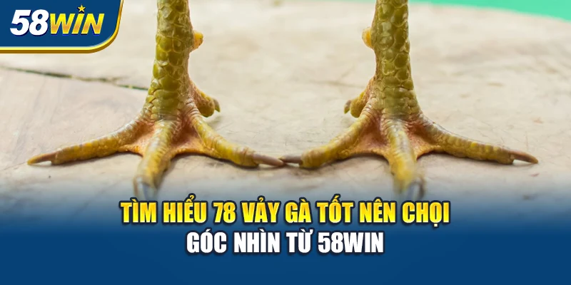 tim-hieu-78-vay-ga-tot-nen-choi-goc-nhin-tu-58win