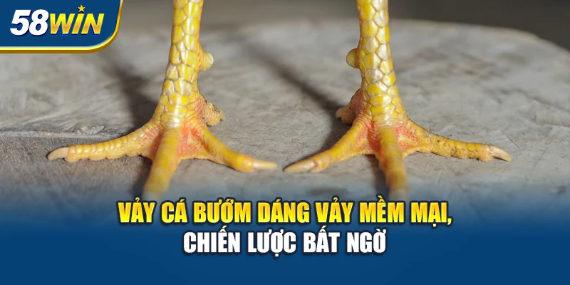 vay-ca-buom-dang-vay-mem-mai-chien-luoc-bat-ngo