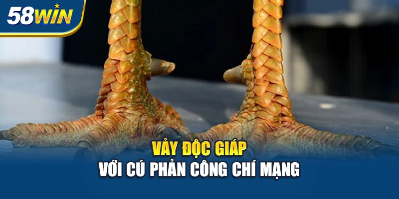 vay-doc-giap-voi-cu-phan-cong-chi-mang