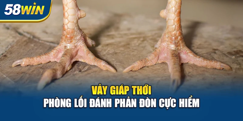 vay-giap-thoi-phong-loi-danh-phan-don-cuc-hiem