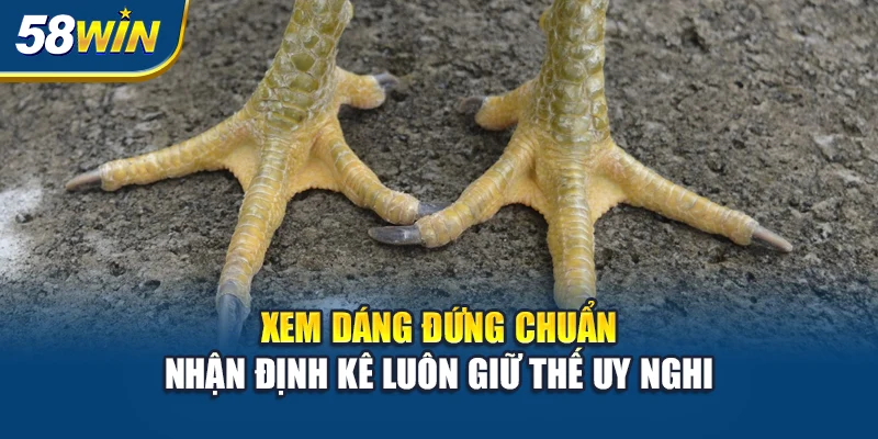 xem-dang-dung-chuan-nhan-dinh-ke-luon-giu-the-uy-nghi